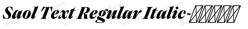 Saol Text Regular Italic字体转换